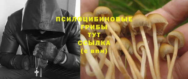тгк Балахна