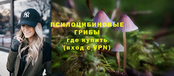 тгк Балахна