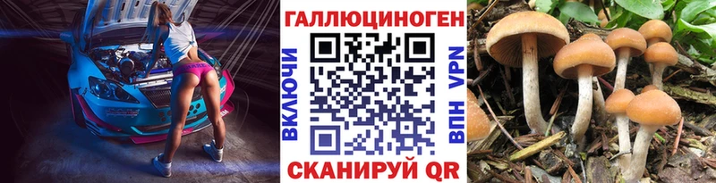 мега вход  Няндома  дарк нет клад  цена наркотик  Галлюциногенные грибы мицелий 